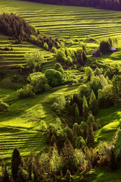 Pieniny Gebirgszug Süden Polens — Stockfoto