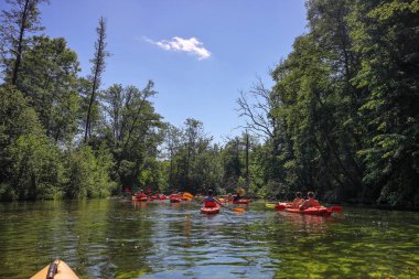 Polonya'nın kuzeydoğusunda ki Mazury nehri Krutynia