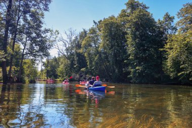 Polonya'nın kuzeydoğusunda ki Mazury nehri Krutynia