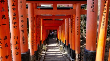 Japonya 'da, Kyoto' da birçok torii kapısı birbiri ardına açılıyor. Kapılar her direkte yazıyla kaplı..