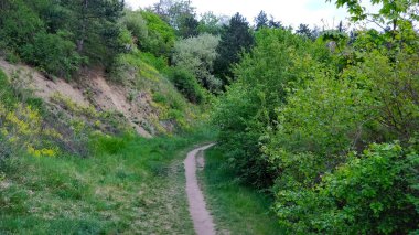 Doğa mekanında giden yol.