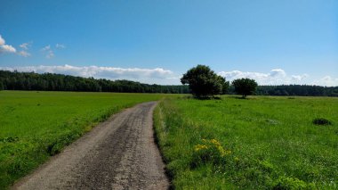 Litovelske pomoravi 'nin doğa koruma alanındaki doğal tozlu yol yaz boyunca.