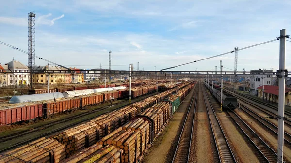 Linha Férrea Reta Com Trem Carga Totalmente Carregado Cheio Toras — Fotografia de Stock