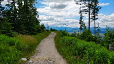 Güzel yaz günü, seyrek ormanlardan geçen Vysoke Tatry adlı Slovakya dağlarına bir gezi..