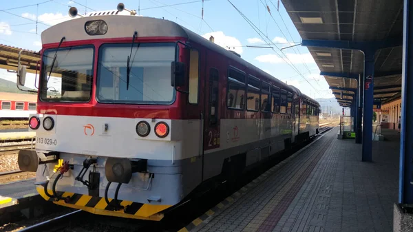 Train Voyageurs Attente Gare Pour Les Gens Entrer Slovaquie — Photo