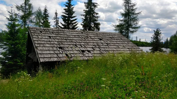 Damaged cottage in Slovakian mountain with spruce trees during beautiful Summer day.