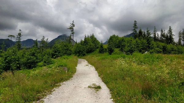 Perjalanan Pegunungan Slowakia Vysoke Tatry Dengan Jalan Akan Melalui Hutan — Stok Foto