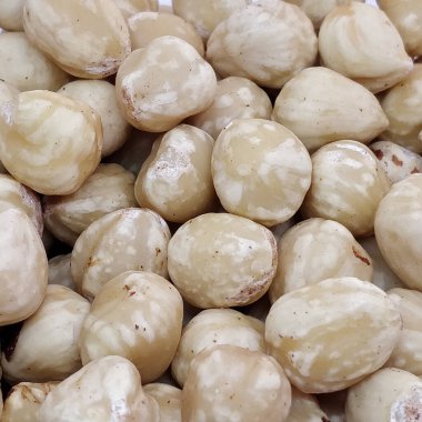 Fındıklara yakın çekim.