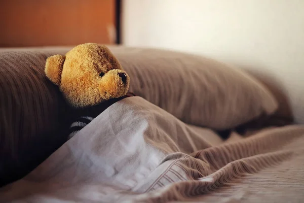 Teddy bear covered in bed.