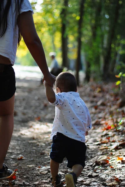 Mother and son holding hands and walking through the woods.