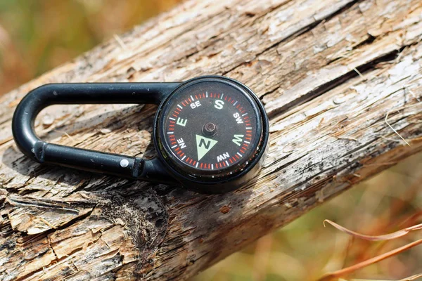 Black compass showing the direction in the forest.