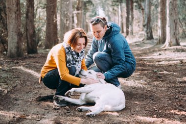 Bir köpek ile ormanda yürüyüş mutlu lezbiyen çift