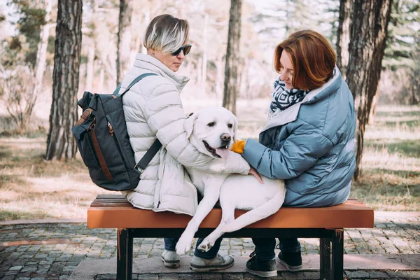 Heureux Couple Lesbien Assis Avec Chien — Photo