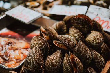 Tsukiji Fish Market Tokyo, Japonya'da satışa istiridye çeşitleri.