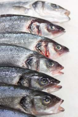 Dicentrarchus labraxis balığı. Mağaza tezgahında buz üzerinde taze balık, taze yakalanmış balık kafaları, dikey gıda arka plan