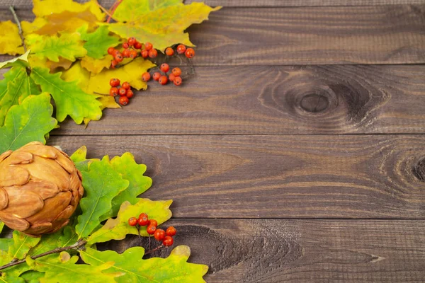 postcard background wallpaper, yellow oak leaves and red rowan berries, autumn decor