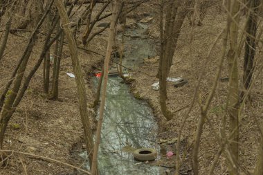 Bahar orman akarsu çöp atık plastik lastik cam şişeler. Ekoloji sorunları, gezegenin kirliliği