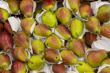 Olgun sarı kırmızı armut meyve, armut çok