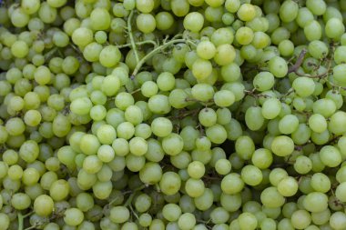 Demethalinde yuvarlak yeşil üzüm, arka plan duvar kağıdı