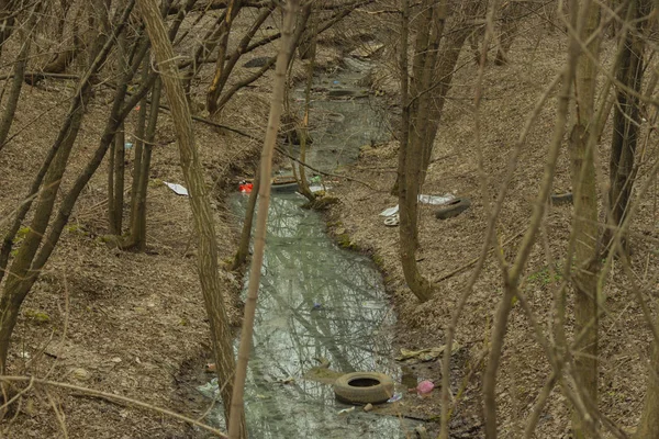 Spring forest stream river garbage waste plastic tire glass bottles. Problems of ecology, pollution of the planet