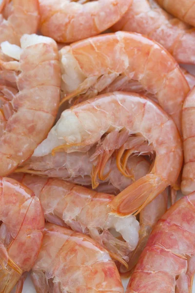 Haşlanmış pembe karidesler, karidesler, langoustines, başsız, yakın