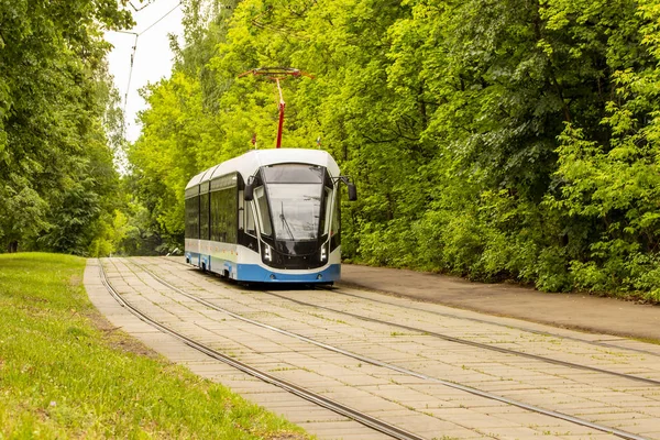 Modny tramwaj niebieski biały biegnie wzdłuż szyn w parku. Zielone liście, nowoczesne miasto ekologiczny tramwaj transportowy, tapeta tła — Zdjęcie stockowe