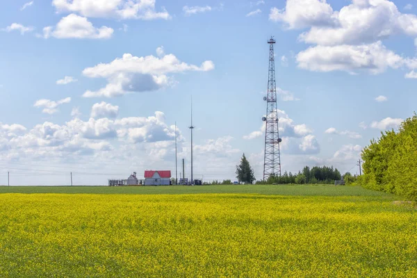 Paisaje rural. Torre de telecomunicaciones en un campo de violación amarillo, una pequeña casa de campo con un techo rojo — Foto de Stock