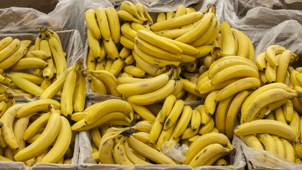 Ripe yellow bananas packed in boxes on the counter of a market supermarket. Background Wallpaper Banner