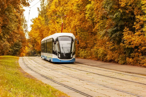 Tram moderne sur fond de feuillage d'automne. Transport urbain écologique ferroviaire sur le fond du paysage d'automne, fond d'écran — Photo