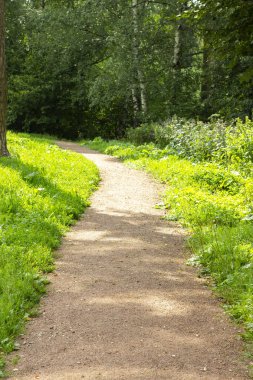 Yumuşak taş kırıntısı ile Park yolu, yaz dikey arka plan