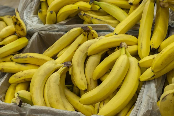 Yellow bananas in the boxes in the supermarket. Exotic fruit in the supermarket, a bunch of banana