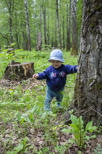 Bayi 8-9 bulan belajar berjalan, berjalan melalui hutan memegang batang pohon. Gadis kecil tersenyum saat berjalan-jalan di taman — Stok Foto