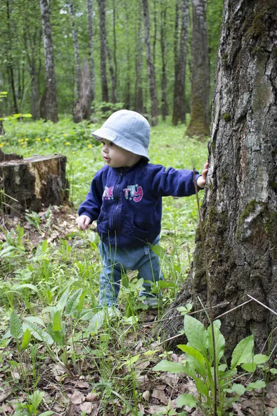 Bayi 8-9 bulan mengambil langkah pertama di alam. Seorang gadis di hutan melihat sekeliling memegang batang pohon. Gadis dengan celana jeans dan topi berjalan melalui hutan — Stok Foto