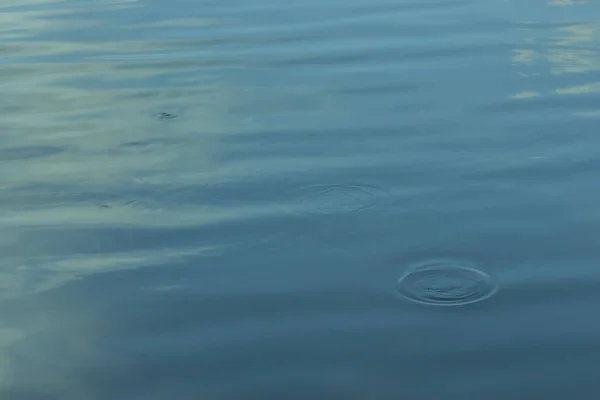 The surface of the lake pond with circles on the water, the texture background, a natural natural body of water with traces of water droplets — Stock Photo, Image
