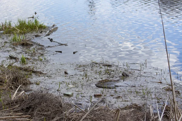 Poluição do ambiente, detritos e sujeira na lagoa, lago. Problemas de ecologia e de protecção do ambiente — Fotografia de Stock