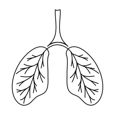 İnsan ciğerleri, çocukça basit bir illüstrasyon. Kan damarlarıyla insan organının akciğerlerinin çizimi. Clipart tıbbı beyaz arkaplanda izole et, karalama biçimi