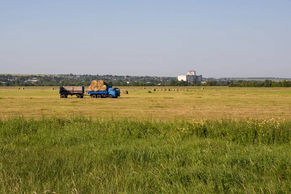 Nizhny Novgorod Region Rusia Julio 2020 Cosecha Heno Trabajo Agrícola — Foto de Stock
