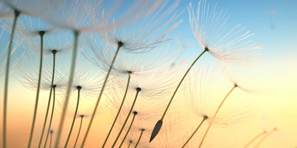 Abendsonne Stock Photos Royalty Free Abendsonne Images