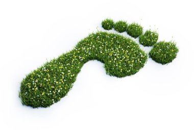 Fussabdruck aus gruenem Grass und Blumen