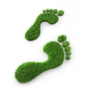 2x Fussabdruck aus gruenem Grass