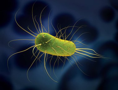Einzelne Bakterie vor Zellen im Hintergrund - 3D Illustration