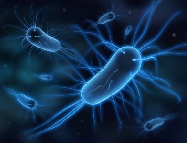 Gruppe von Bakterien vor dunklem Hintergrund - 3D Illustration