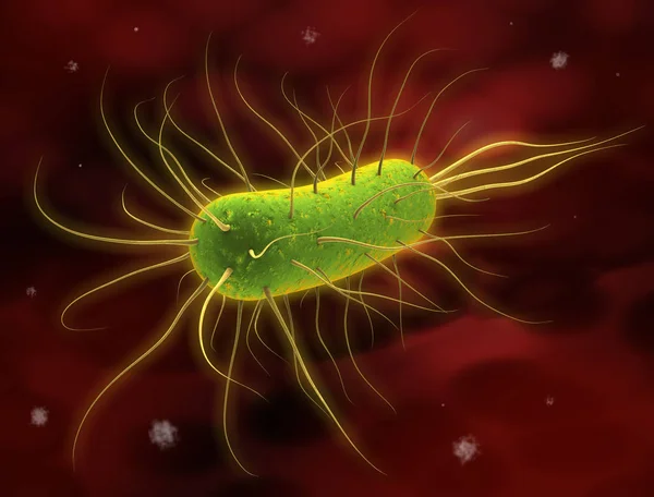 Einzelne Bakterie Vor Roten Zellen Hintergrund Illustratie — Stockfoto