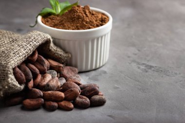 Kakao çekirdekleri ve toz gri taş arka plan üzerinde.