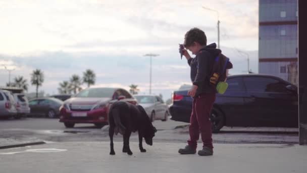 一个带着冰激凌和狗的孩子 — 图库视频影像