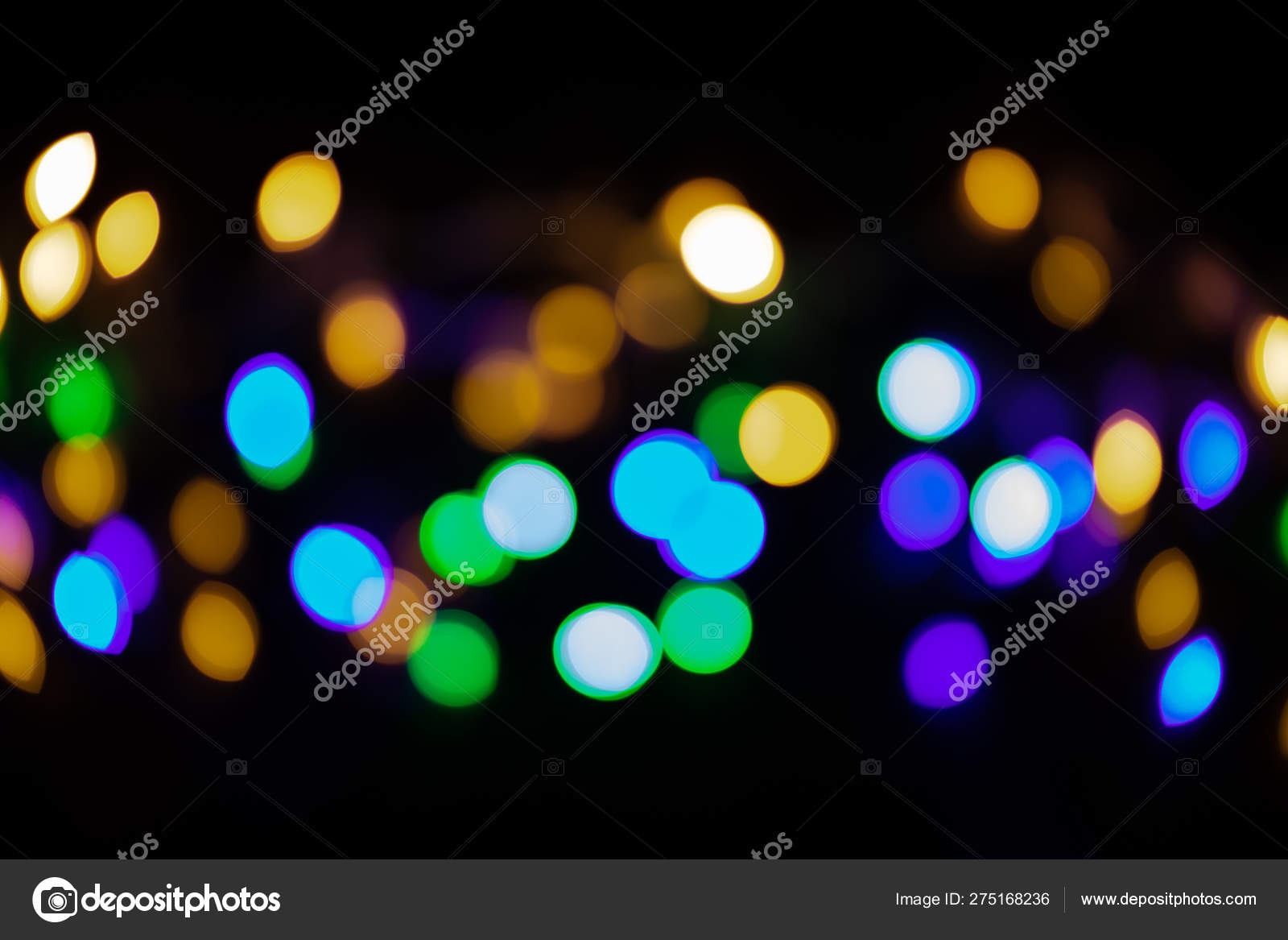 すべての美しい花の画像 最高のカラフル な 壁紙 すべての美しい花の画像 最高のカラフル な 壁紙