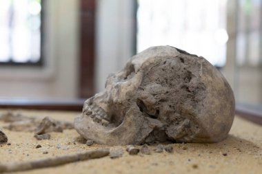 Eski bir insan, homo sapiens veya Neandertal kemikleri iskelet, insan kafatası arkeolojik kazılar