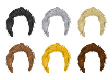 Vektör seti Erkek saç kısa saç doğal renklerin çeşitli