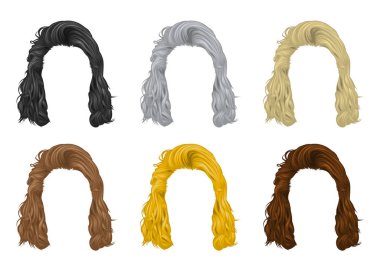 Vektör saç seti kadınlar için, uzun saç, doğal renkler - Vektör