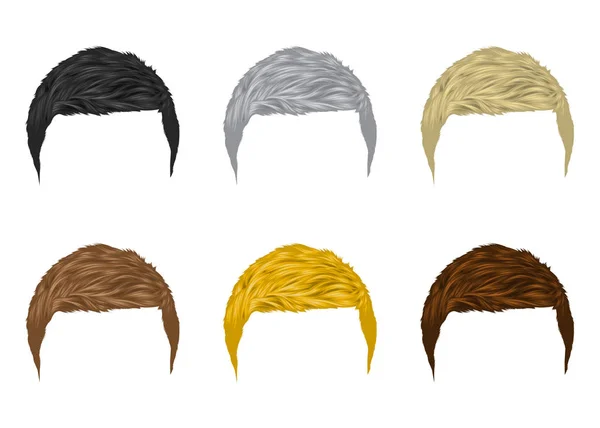 Vektör seti Erkek saç kısa saç doğal renklerin çeşitli